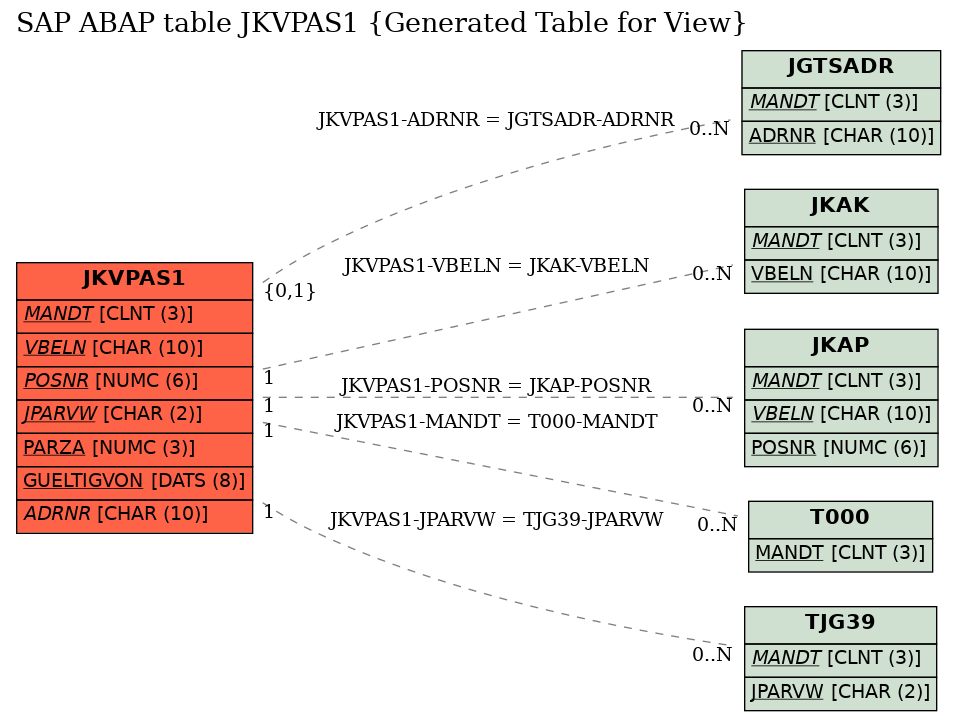 E-R Diagram for table JKVPAS1 (Generated Table for View)