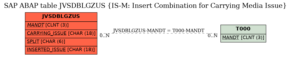 E-R Diagram for table JVSDBLGZUS (IS-M: Insert Combination for Carrying Media Issue)