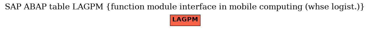 E-R Diagram for table LAGPM (function module interface in mobile computing (whse logist.))