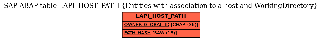 E-R Diagram for table LAPI_HOST_PATH (Entities with association to a host and WorkingDirectory)