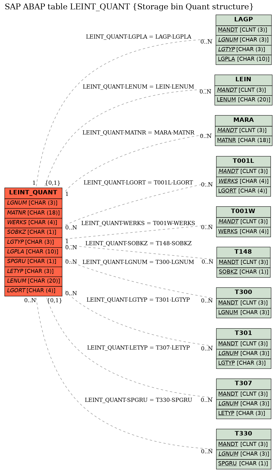 E-R Diagram for table LEINT_QUANT (Storage bin Quant structure)