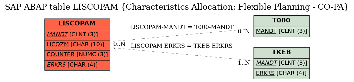 E-R Diagram for table LISCOPAM (Characteristics Allocation: Flexible Planning - CO-PA)