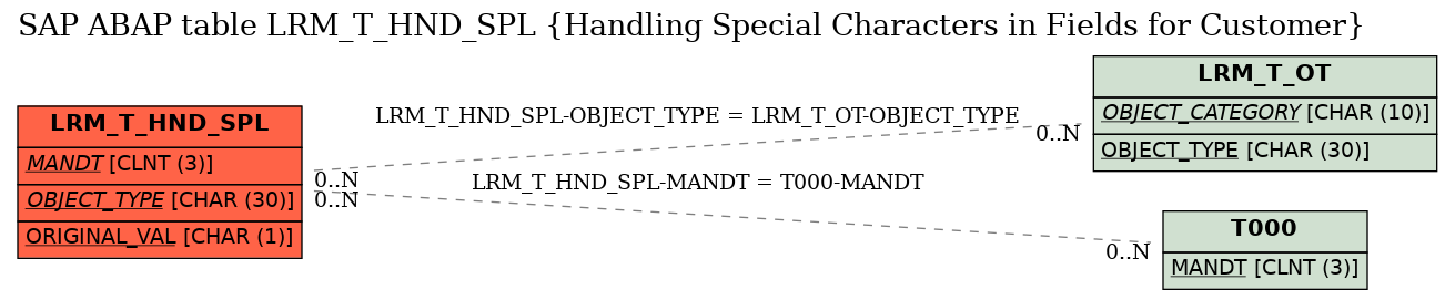 E-R Diagram for table LRM_T_HND_SPL (Handling Special Characters in Fields for Customer)