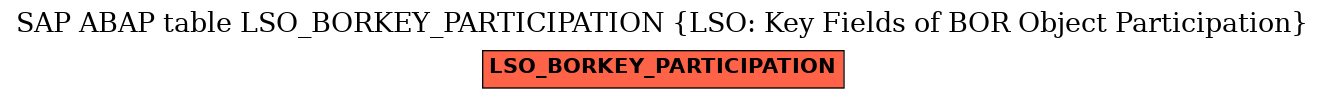 E-R Diagram for table LSO_BORKEY_PARTICIPATION (LSO: Key Fields of BOR Object Participation)