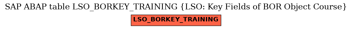 E-R Diagram for table LSO_BORKEY_TRAINING (LSO: Key Fields of BOR Object Course)