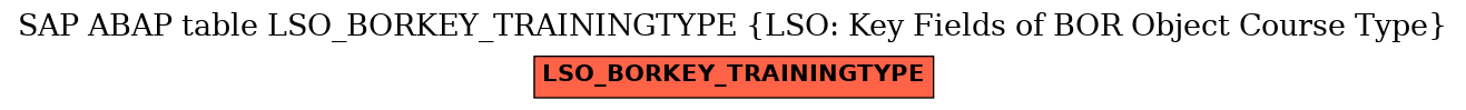 E-R Diagram for table LSO_BORKEY_TRAININGTYPE (LSO: Key Fields of BOR Object Course Type)