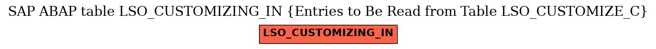 E-R Diagram for table LSO_CUSTOMIZING_IN (Entries to Be Read from Table LSO_CUSTOMIZE_C)