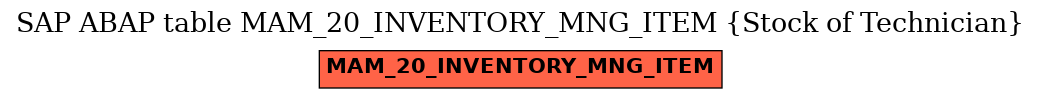 E-R Diagram for table MAM_20_INVENTORY_MNG_ITEM (Stock of Technician)