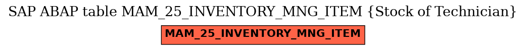 E-R Diagram for table MAM_25_INVENTORY_MNG_ITEM (Stock of Technician)