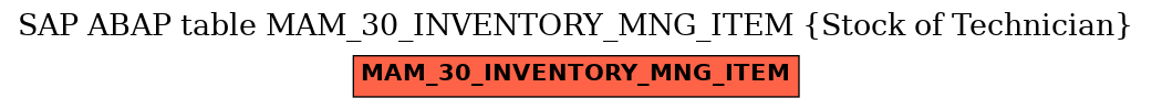 E-R Diagram for table MAM_30_INVENTORY_MNG_ITEM (Stock of Technician)