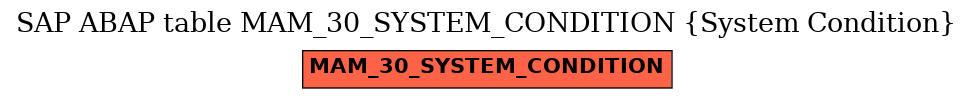 E-R Diagram for table MAM_30_SYSTEM_CONDITION (System Condition)