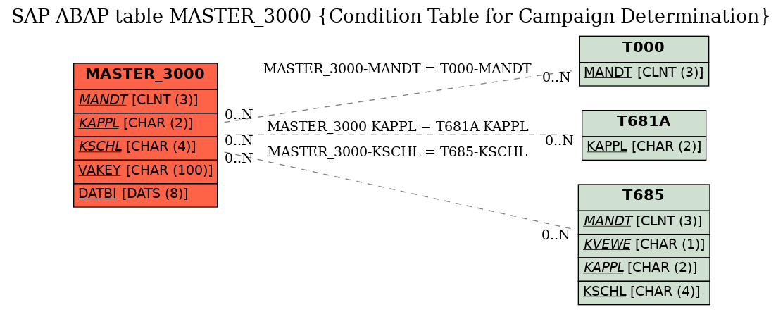 E-R Diagram for table MASTER_3000 (Condition Table for Campaign Determination)