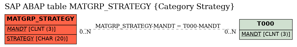 E-R Diagram for table MATGRP_STRATEGY (Category Strategy)