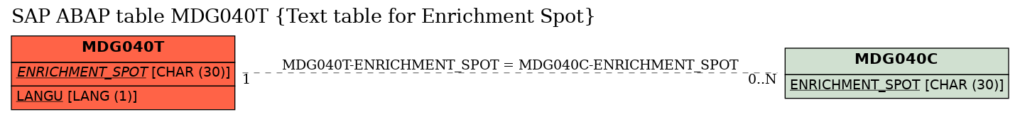 E-R Diagram for table MDG040T (Text table for Enrichment Spot)