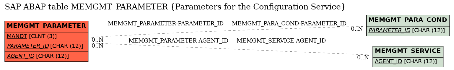 E-R Diagram for table MEMGMT_PARAMETER (Parameters for the Configuration Service)