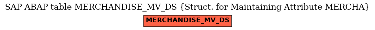 E-R Diagram for table MERCHANDISE_MV_DS (Struct. for Maintaining Attribute MERCHA)
