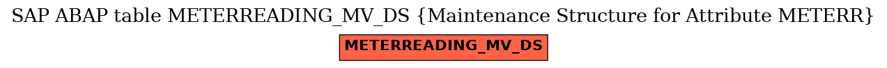 E-R Diagram for table METERREADING_MV_DS (Maintenance Structure for Attribute METERR)