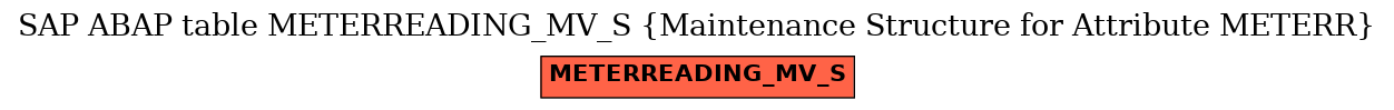 E-R Diagram for table METERREADING_MV_S (Maintenance Structure for Attribute METERR)