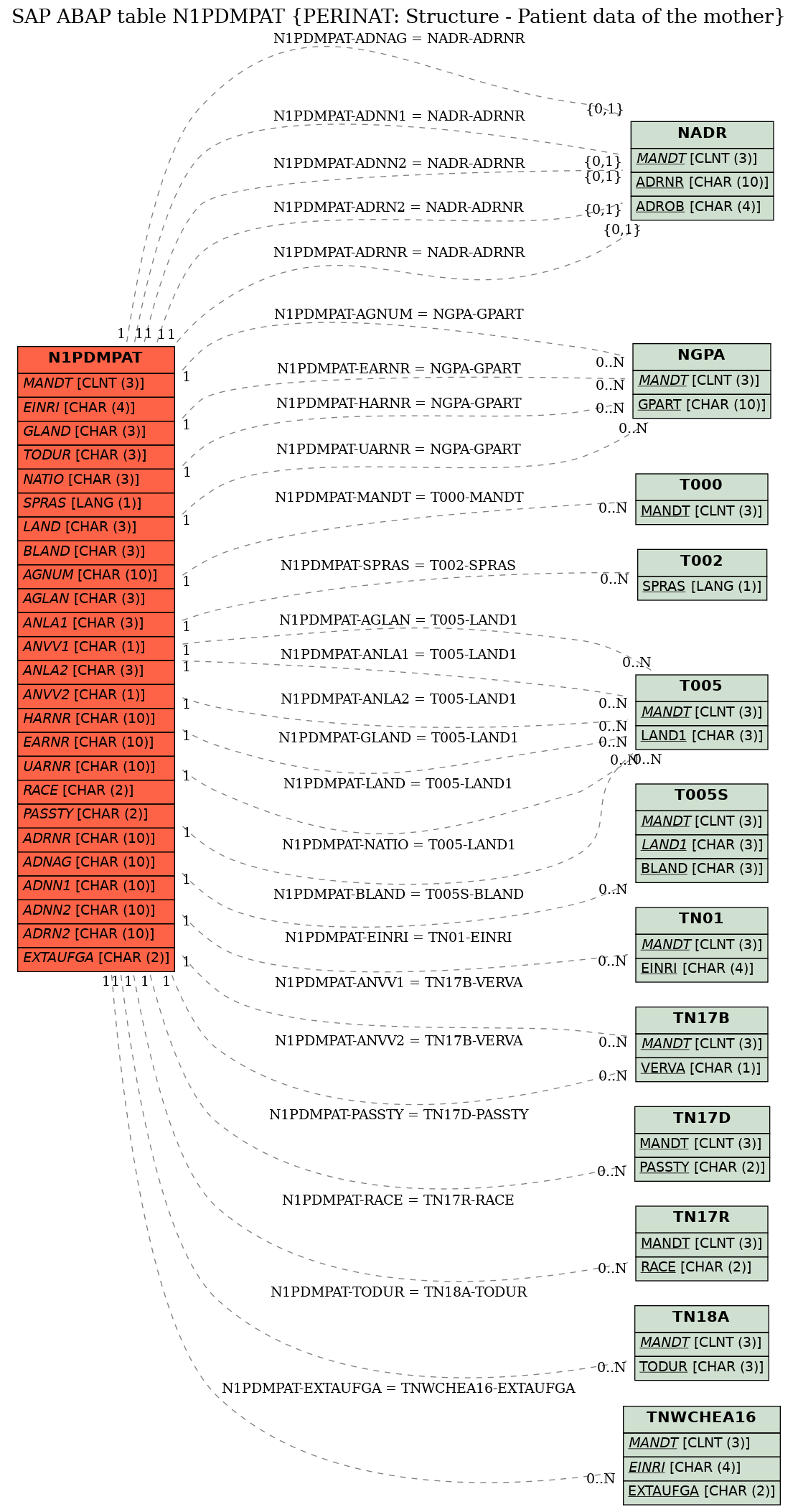 E-R Diagram for table N1PDMPAT (PERINAT: Structure - Patient data of the mother)