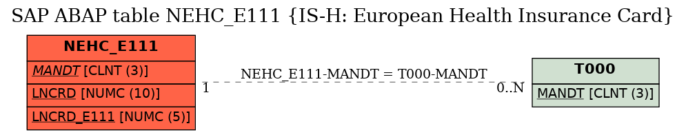 E-R Diagram for table NEHC_E111 (IS-H: European Health Insurance Card)