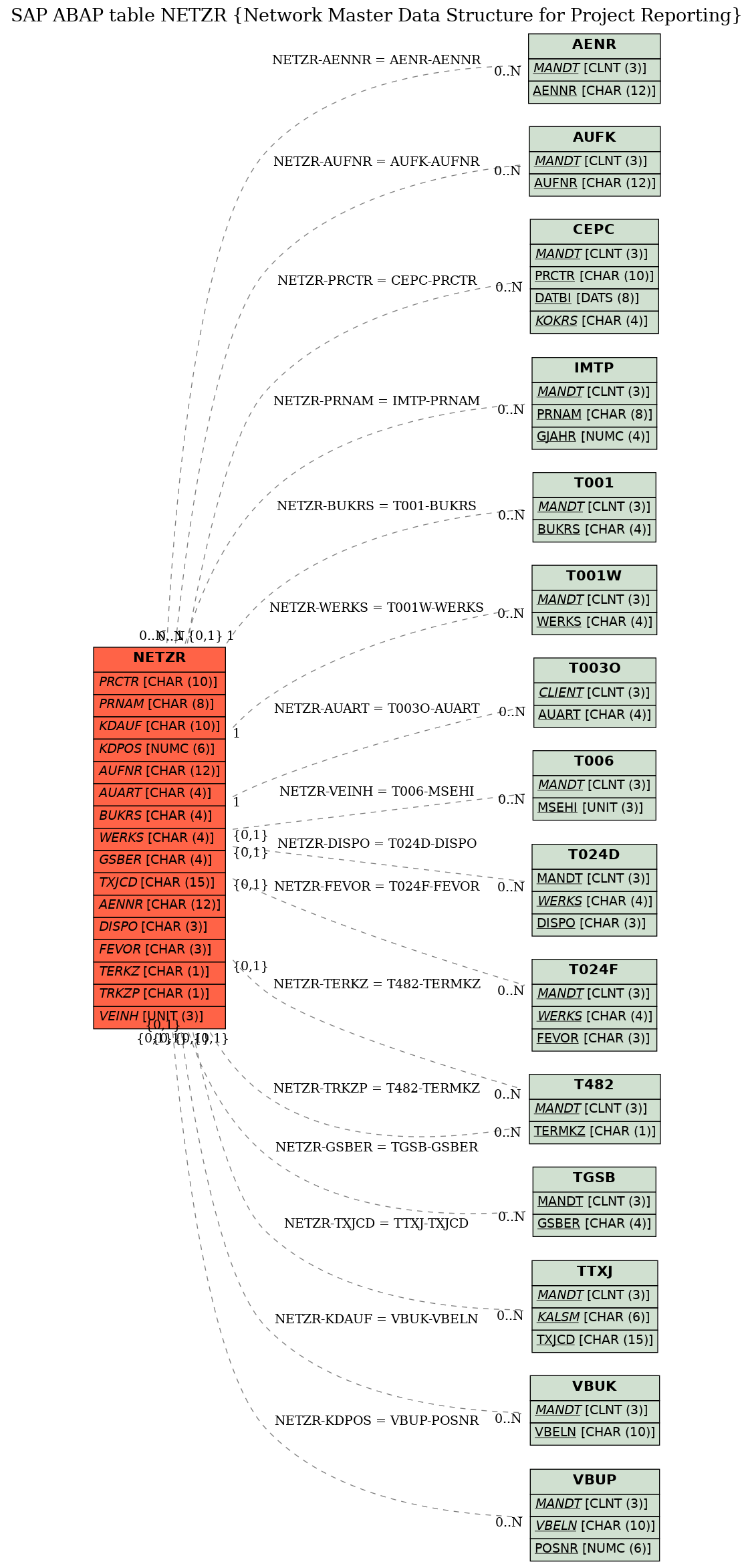 E-R Diagram for table NETZR (Network Master Data Structure for Project Reporting)