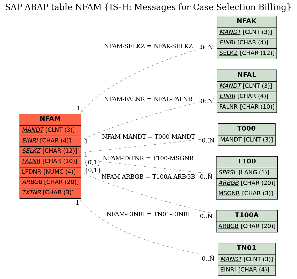 E-R Diagram for table NFAM (IS-H: Messages for Case Selection Billing)