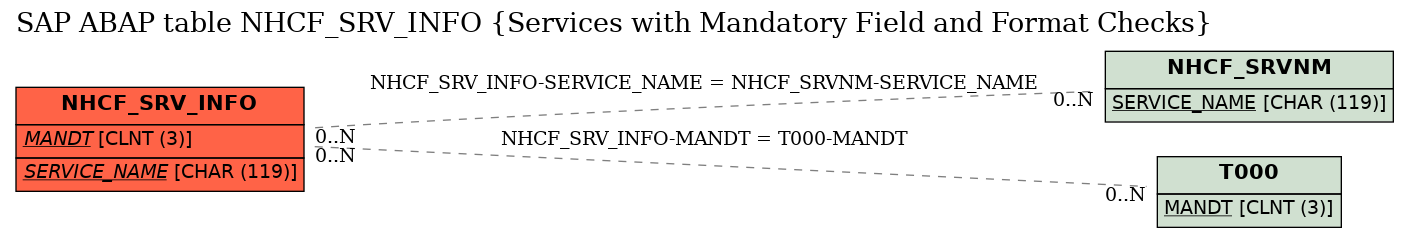 E-R Diagram for table NHCF_SRV_INFO (Services with Mandatory Field and Format Checks)