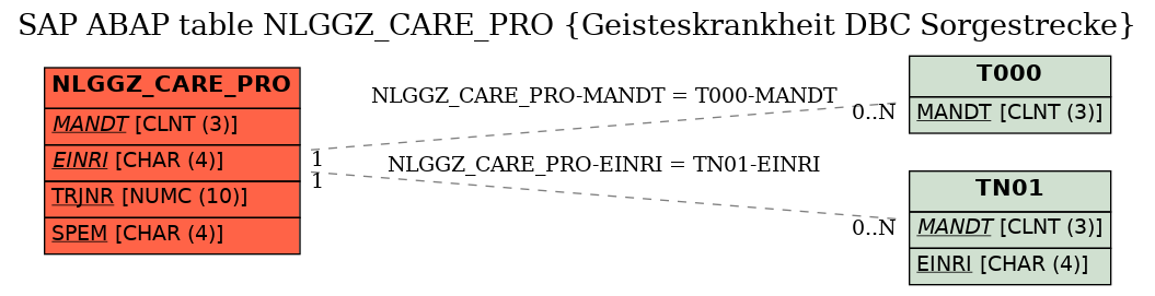 E-R Diagram for table NLGGZ_CARE_PRO (Geisteskrankheit DBC Sorgestrecke)