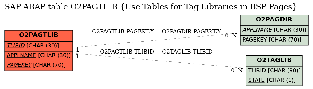 E-R Diagram for table O2PAGTLIB (Use Tables for Tag Libraries in BSP Pages)