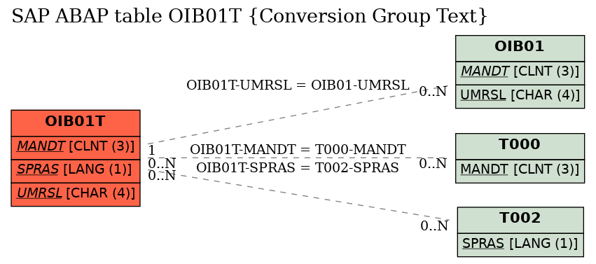 E-R Diagram for table OIB01T (Conversion Group Text)