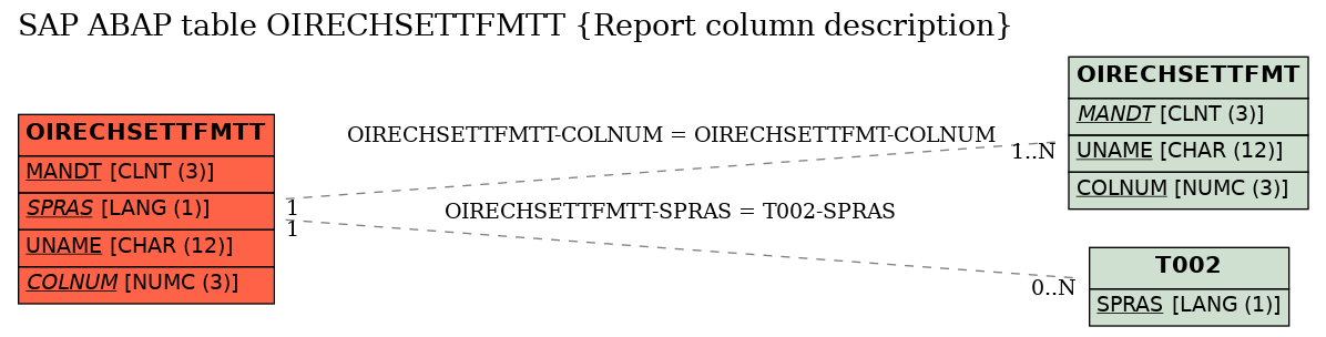 E-R Diagram for table OIRECHSETTFMTT (Report column description)