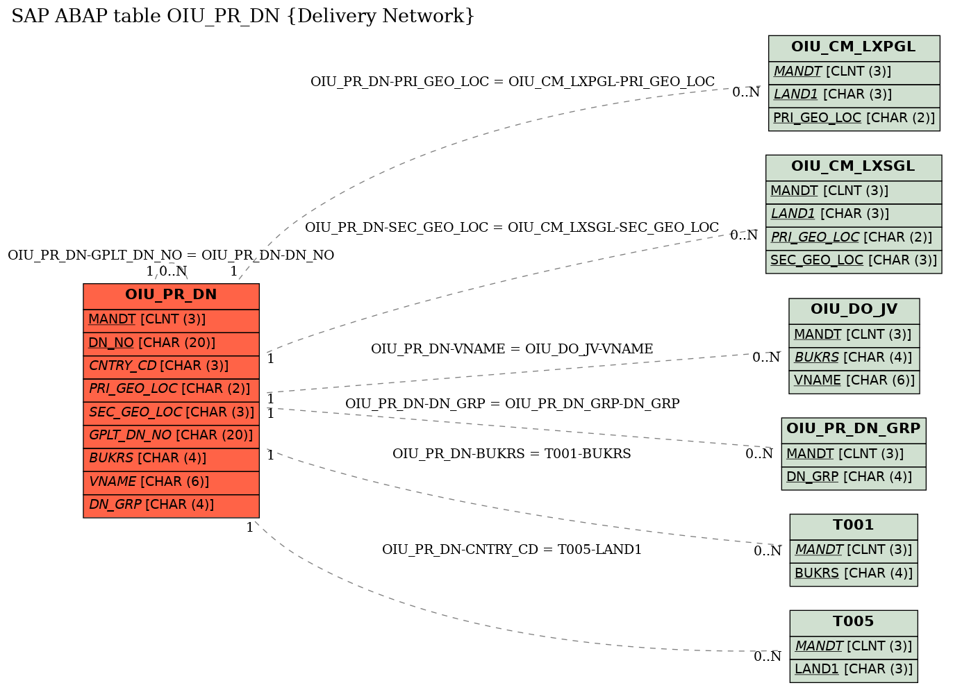 E-R Diagram for table OIU_PR_DN (Delivery Network)