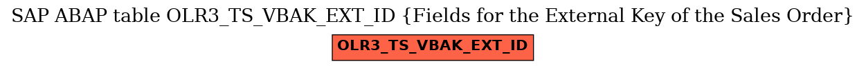 E-R Diagram for table OLR3_TS_VBAK_EXT_ID (Fields for the External Key of the Sales Order)