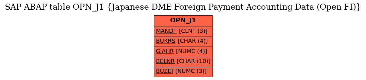 E-R Diagram for table OPN_J1 (Japanese DME Foreign Payment Accounting Data (Open FI))