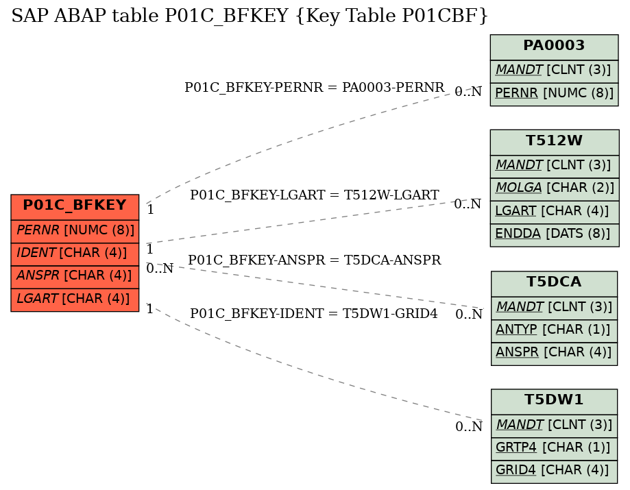 E-R Diagram for table P01C_BFKEY (Key Table P01CBF)