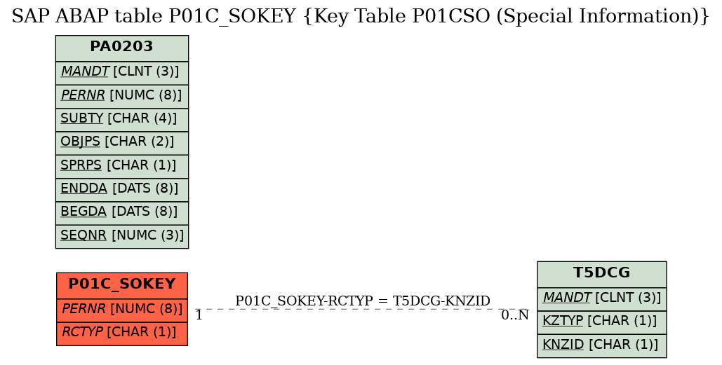 E-R Diagram for table P01C_SOKEY (Key Table P01CSO (Special Information))