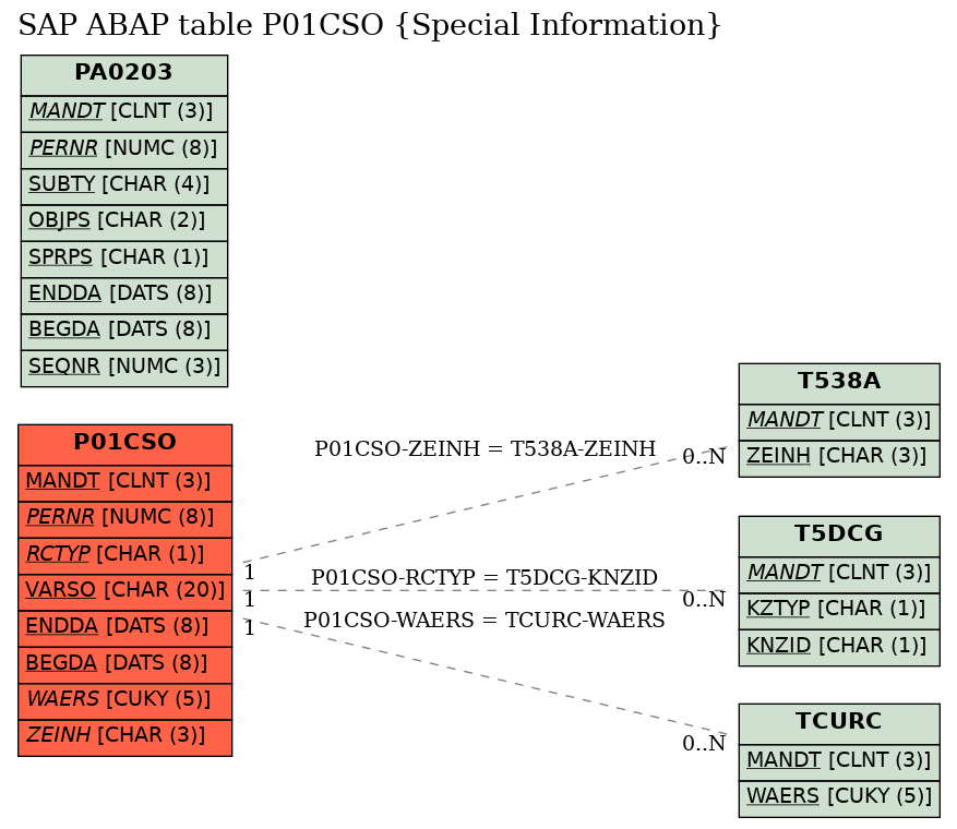 E-R Diagram for table P01CSO (Special Information)