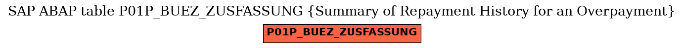 E-R Diagram for table P01P_BUEZ_ZUSFASSUNG (Summary of Repayment History for an Overpayment)