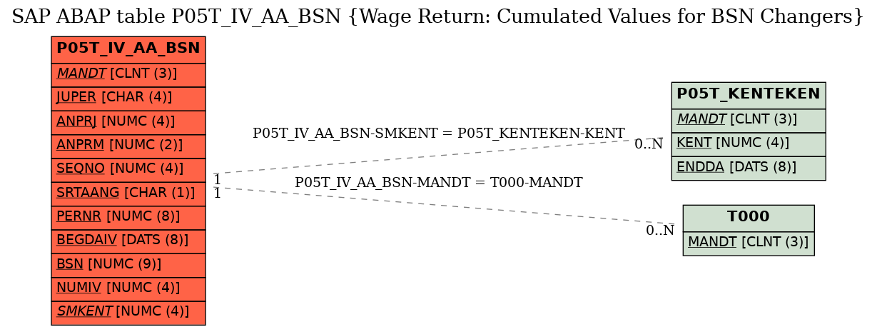 E-R Diagram for table P05T_IV_AA_BSN (Wage Return: Cumulated Values for BSN Changers)