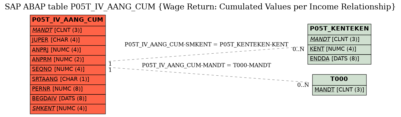 E-R Diagram for table P05T_IV_AANG_CUM (Wage Return: Cumulated Values per Income Relationship)