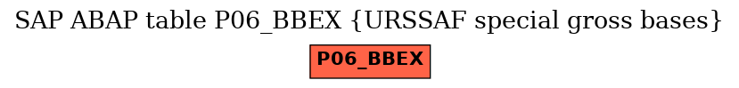 E-R Diagram for table P06_BBEX (URSSAF special gross bases)