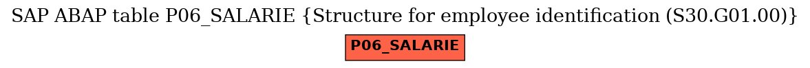 E-R Diagram for table P06_SALARIE (Structure for employee identification (S30.G01.00))