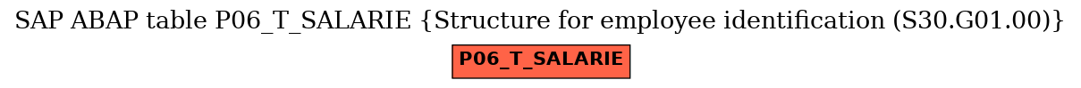 E-R Diagram for table P06_T_SALARIE (Structure for employee identification (S30.G01.00))