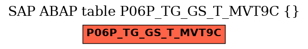E-R Diagram for table P06P_TG_GS_T_MVT9C ()