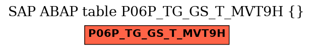 E-R Diagram for table P06P_TG_GS_T_MVT9H ()