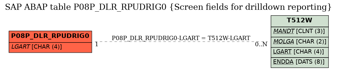 E-R Diagram for table P08P_DLR_RPUDRIG0 (Screen fields for drilldown reporting)