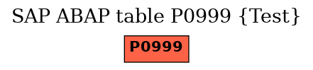 E-R Diagram for table P0999 (Test)