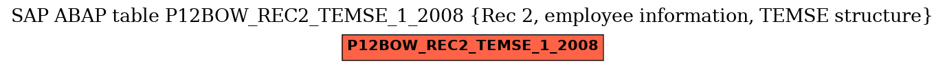 E-R Diagram for table P12BOW_REC2_TEMSE_1_2008 (Rec 2, employee information, TEMSE structure)