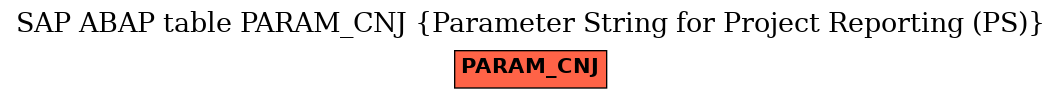 E-R Diagram for table PARAM_CNJ (Parameter String for Project Reporting (PS))