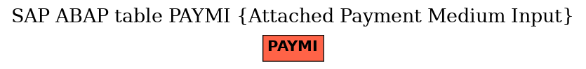 E-R Diagram for table PAYMI (Attached Payment Medium Input)